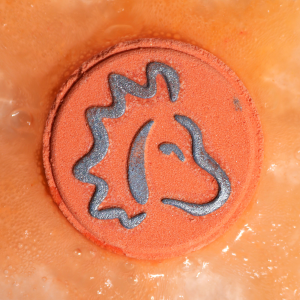 Précommande – Ensemble de Boules de Bain du Zodiaque avec Horoscope - Lion